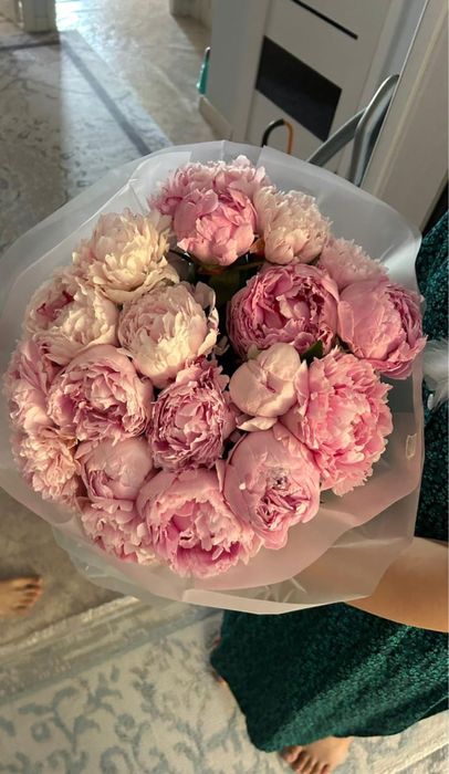 Свежие пионы 25тыс