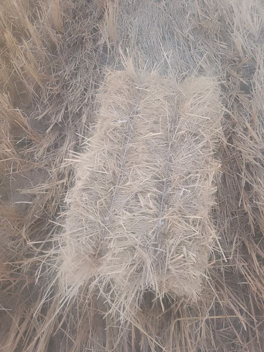 Беда сомон прес. Бугдой Дон. Шоли прес. Зор хаммасм