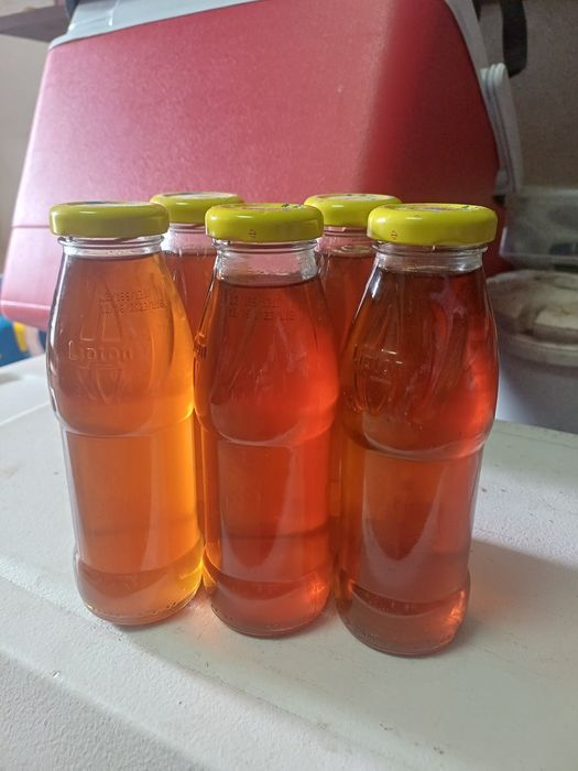 Sirop de zneura si soc