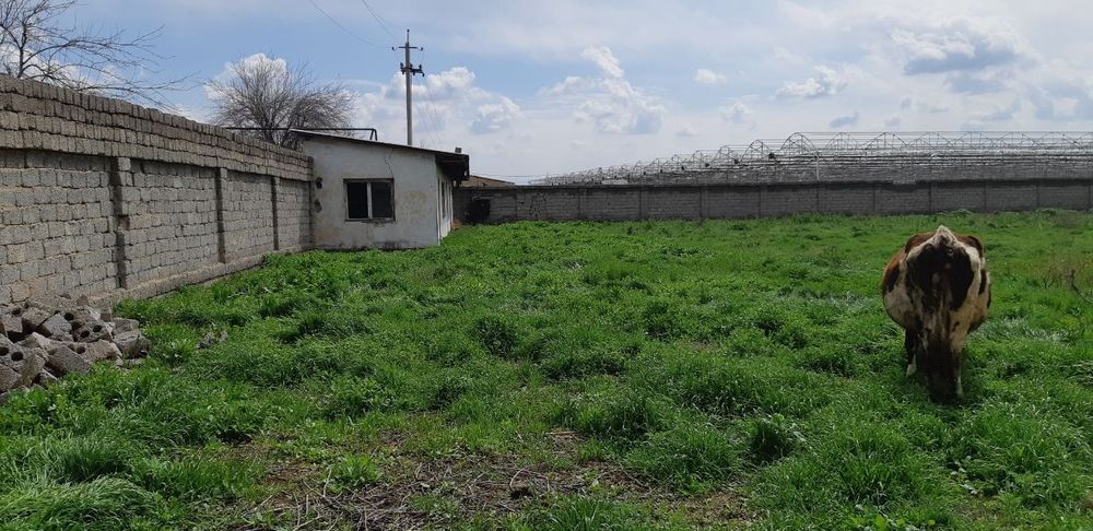 М.Улугбекский р-н Чингелди! Про-ся 20-соток земельный участок