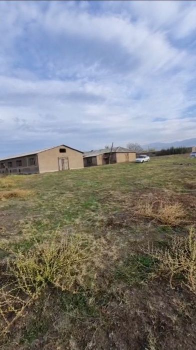 Товук ферма сотилади 2 гектар Продаётся земля 2 гектар