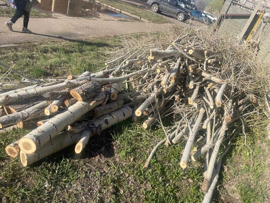 Дрова даром бесплатно