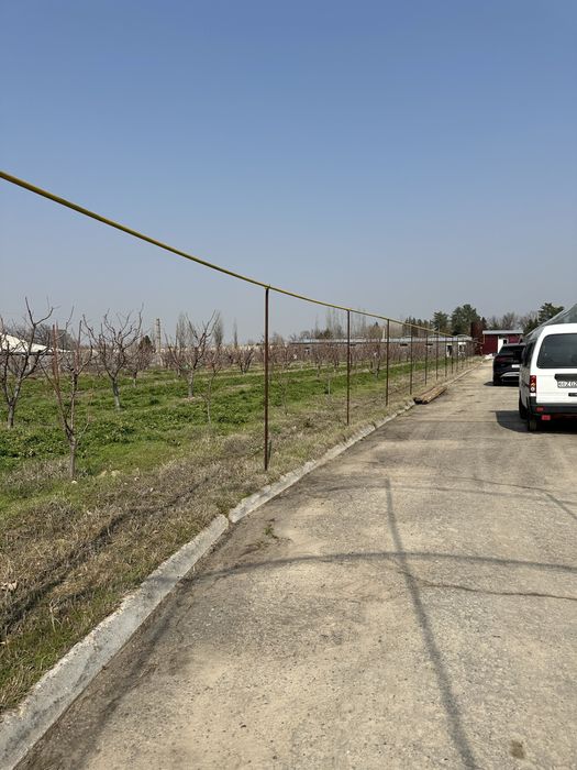 Xasanboy kensoyda yer soʻtigi 6000 dan