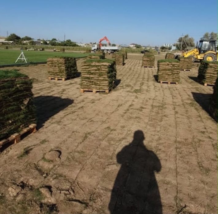 Дайын ГАЗОН!  Готовый ГАЗОН