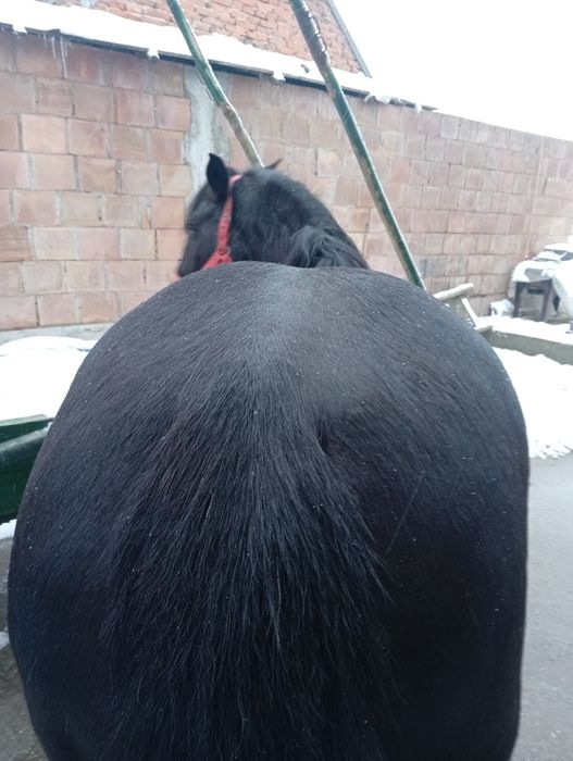 Iapa de vanzare blanda