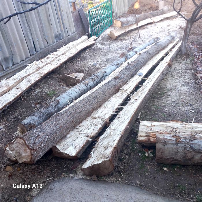 4 метрли тусин сотилади