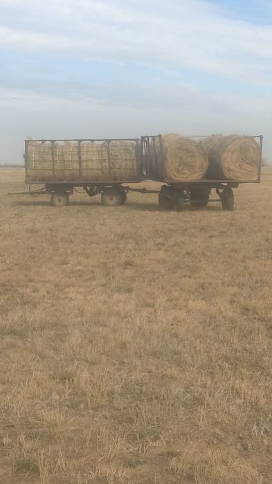 Сено в рулонах с места разнотравье