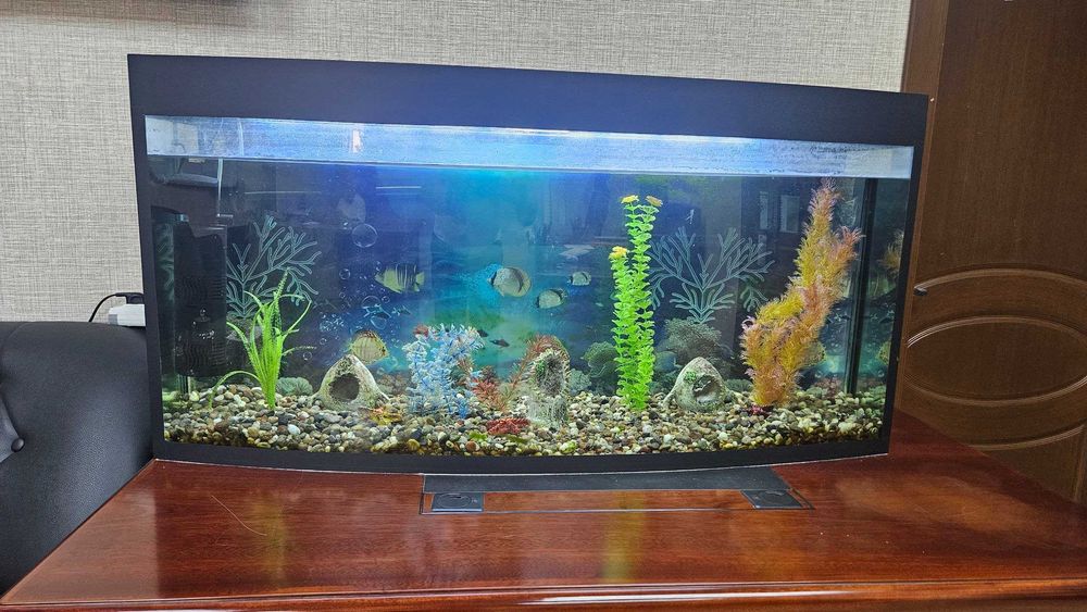 AKVARIUM sotiladi