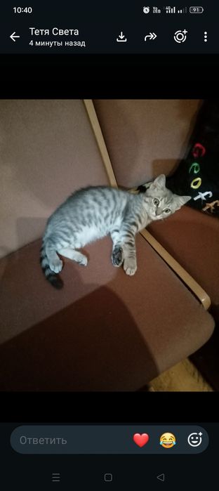Отдам в хорошие руки
