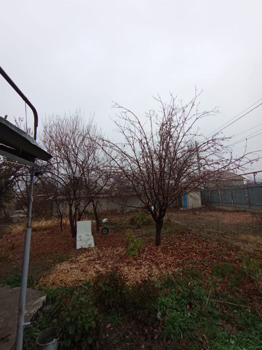 дача в аренду до весны