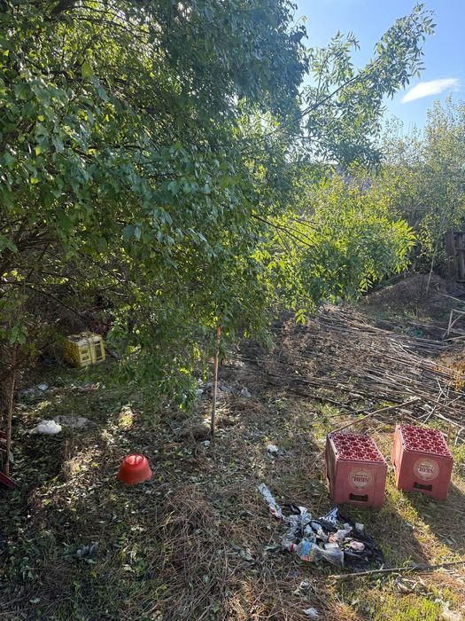 Vând teren intravilan 1000 mp Com Iepuresti, jud Giurgiu