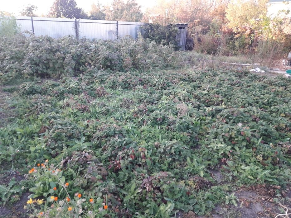 Срочно!Продам дачу