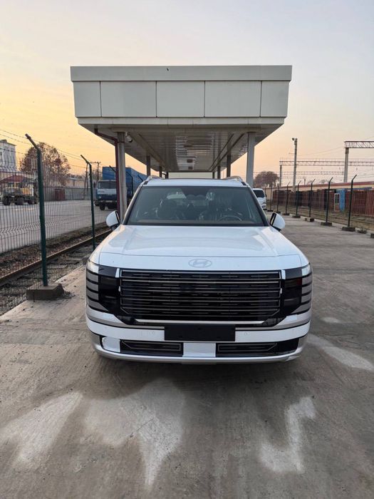 Hyunday paliside 2026