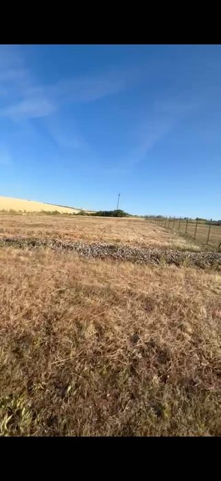 Teren intravilan PALEU, str Soarelui