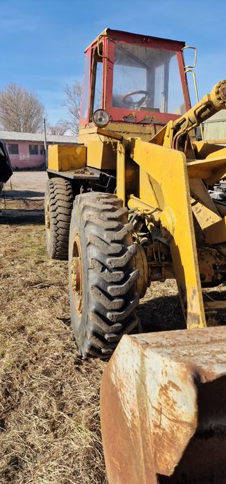 Vând Vola Românească