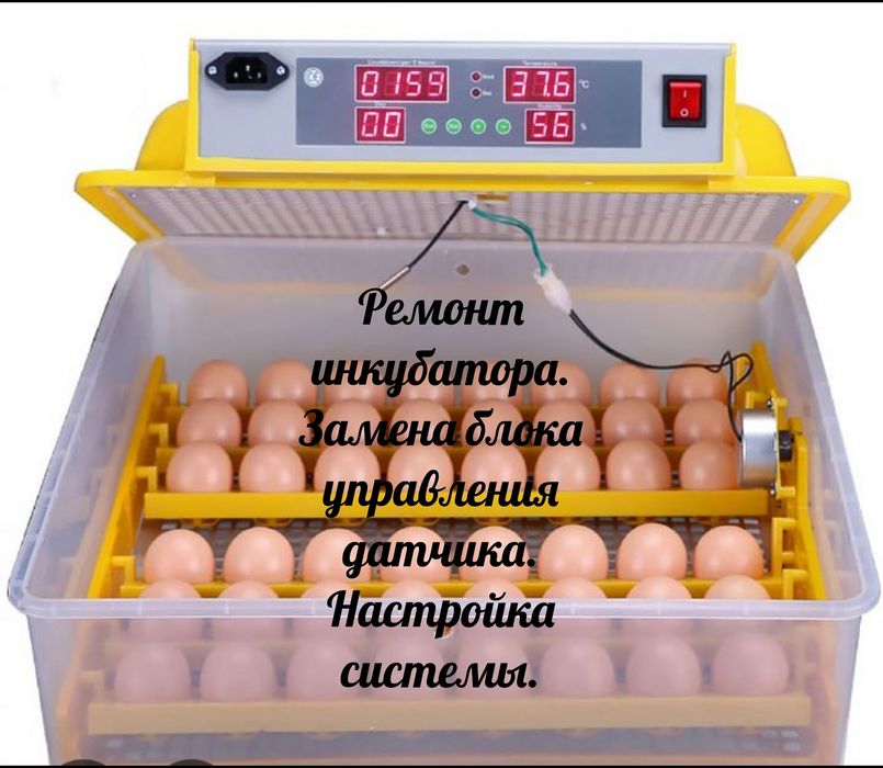 Ремонт мелкой бытовой техники.