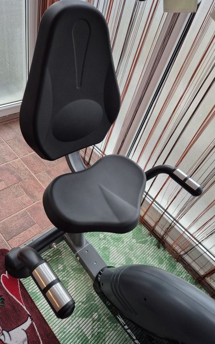 Bicicleta cu spătar Zipro