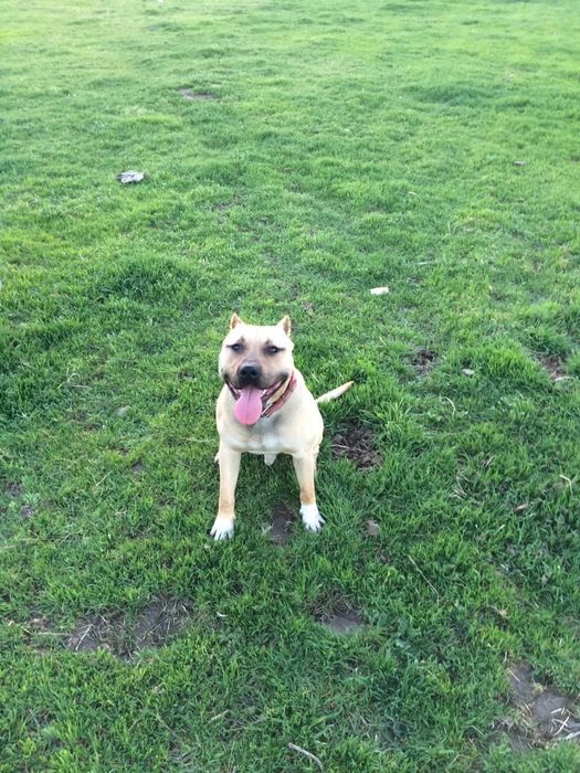 Обмен обмен обмен