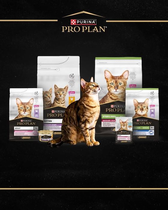 ЗООМАГАЗИН корм для Животных