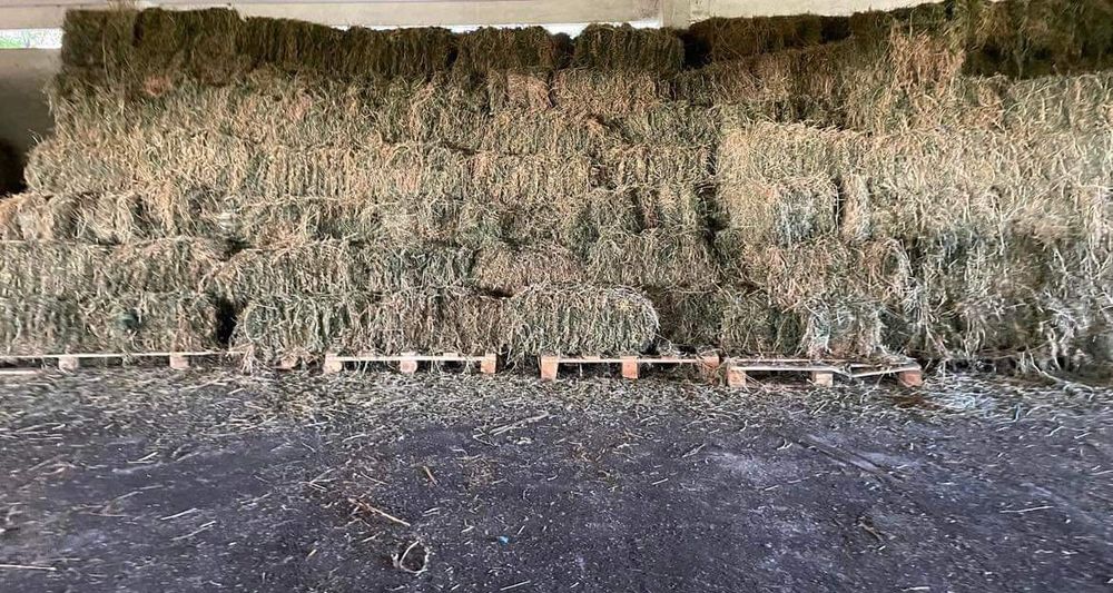 Продавам бали от люцерна и сено