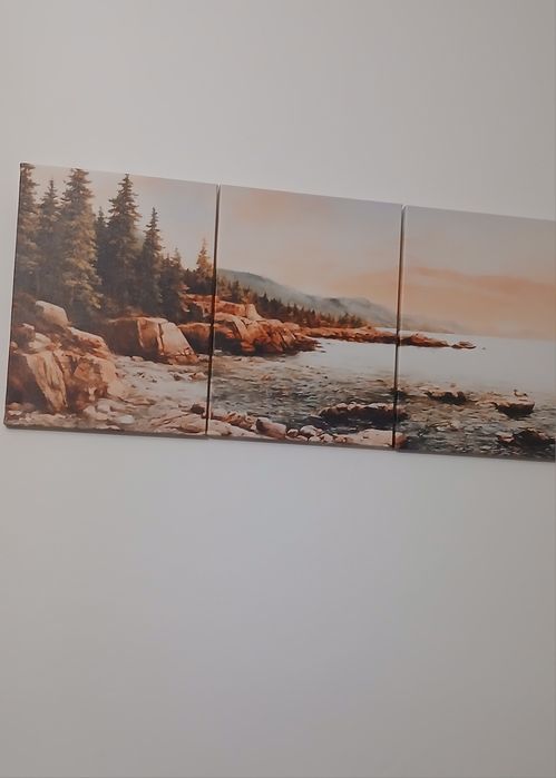 Tablouri peisaj padure - set de 3 bucati