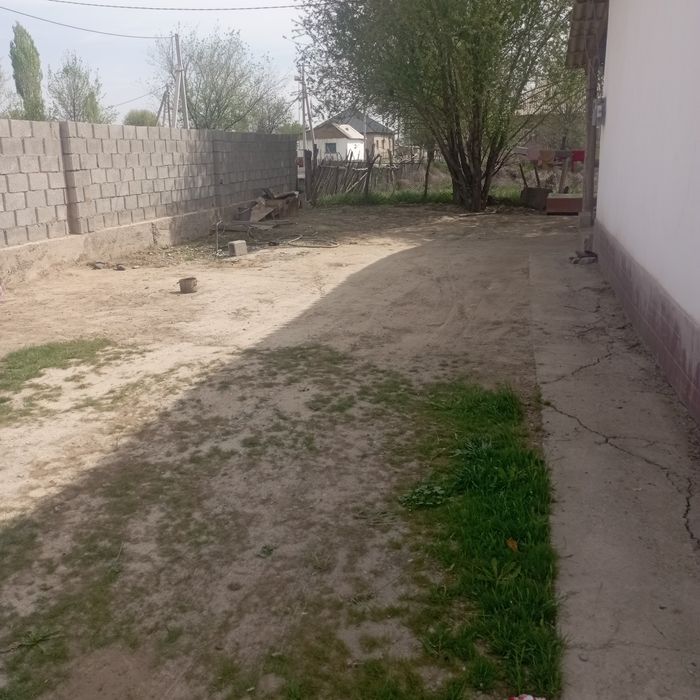 Арыс қаласы Ақдала ауылында