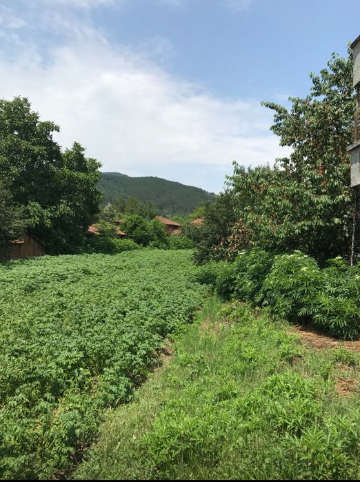 Продава се Къща в Панагюрище - 120 кв.м за 238 €/кв.м - Снимка #7