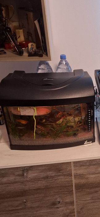 Vand acvariu Diversa 25L