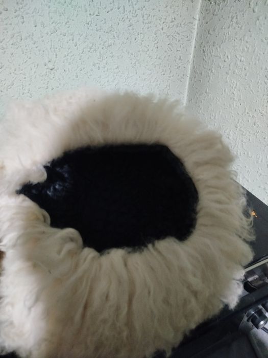 Грузинский,, Папаха,, Новый чистый Козлиные натуральный Мех...