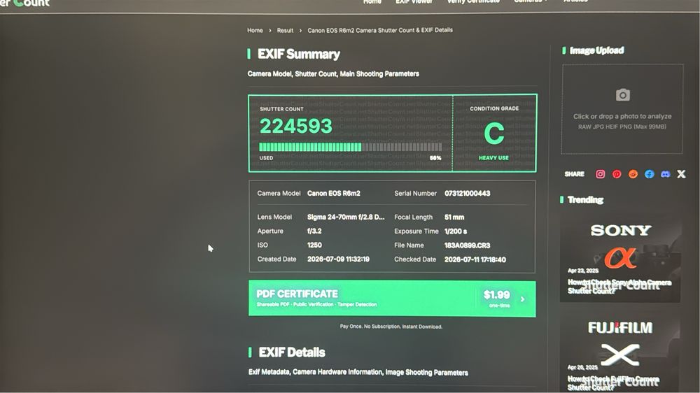 В продаже: Canon r6 mark 2
