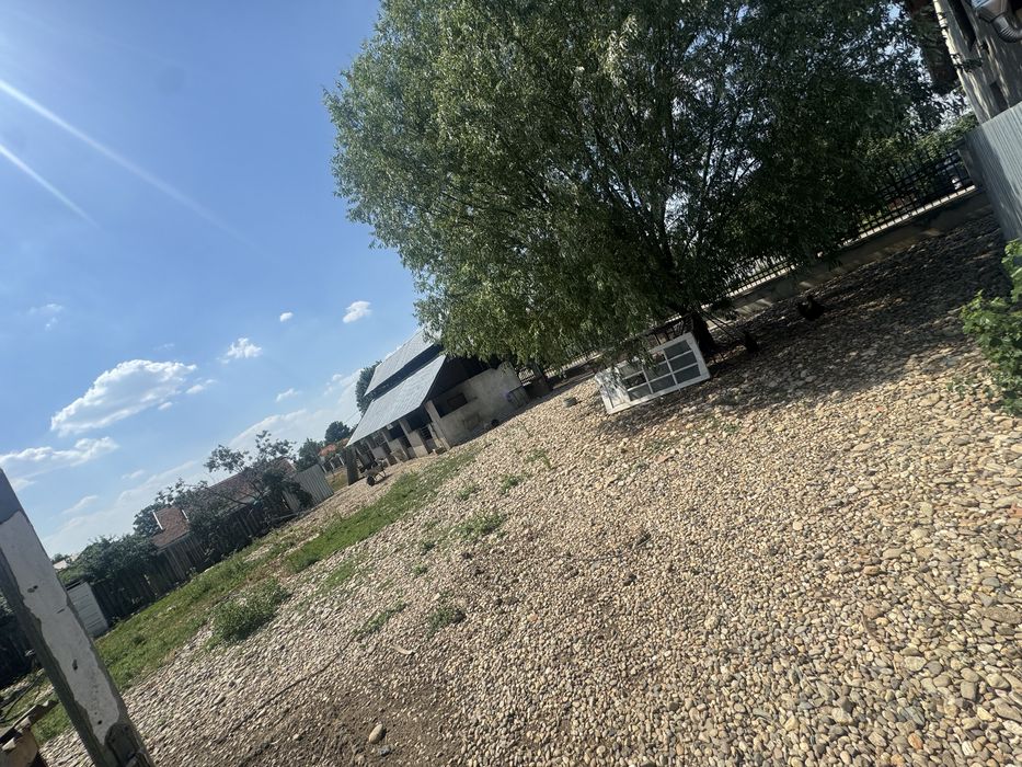 Casă de vânzare Bocsig