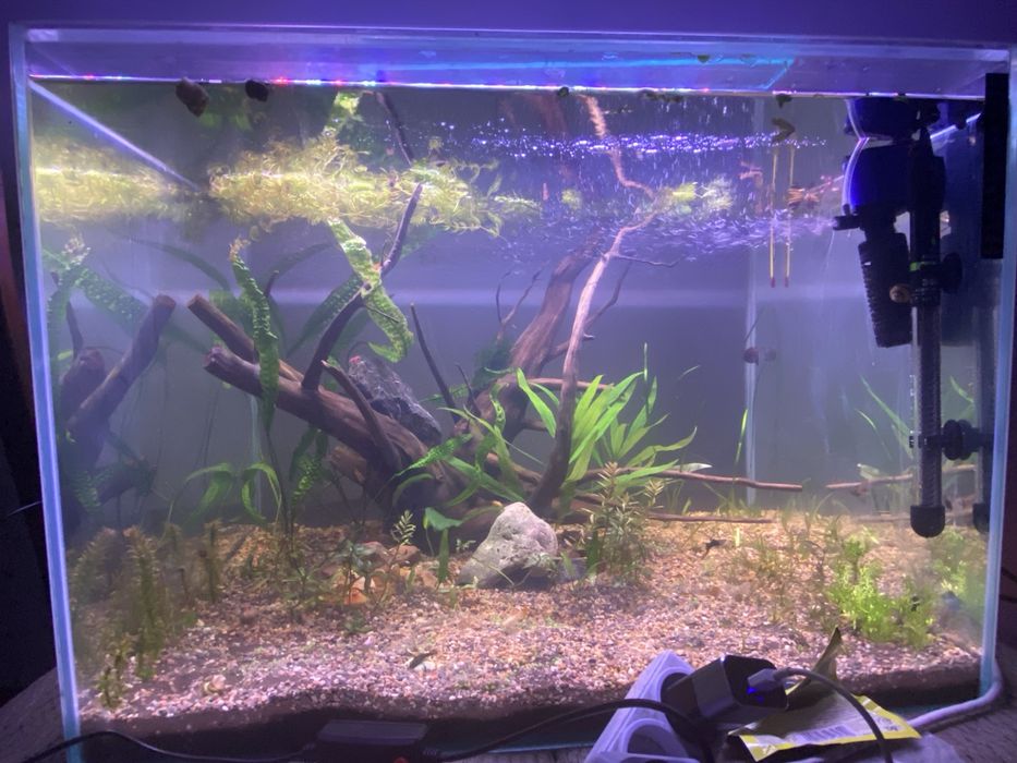 Продам аквариум 160литр