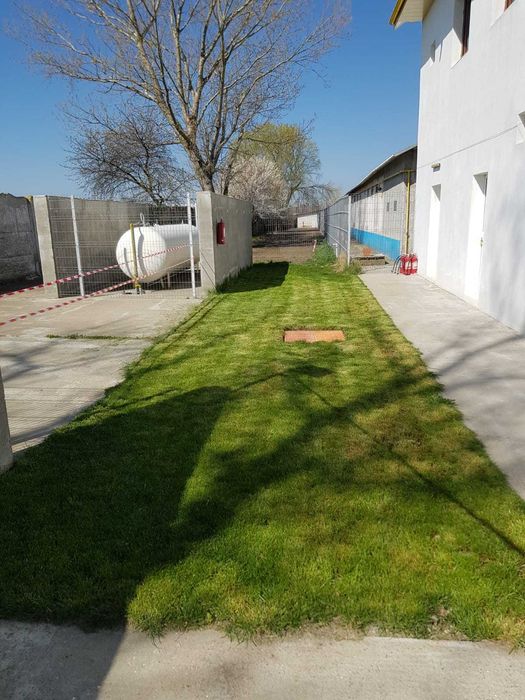 Fermă de reproducție porci