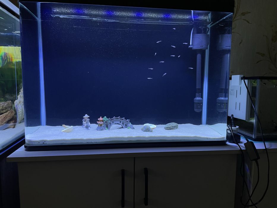 Аквариум ози сотилади балуласиз коган хамма нарсаси