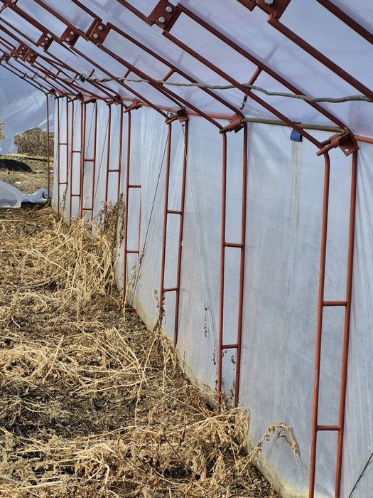 Оранжерия 1 бр 1602