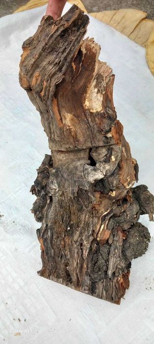 Декорация за терариум