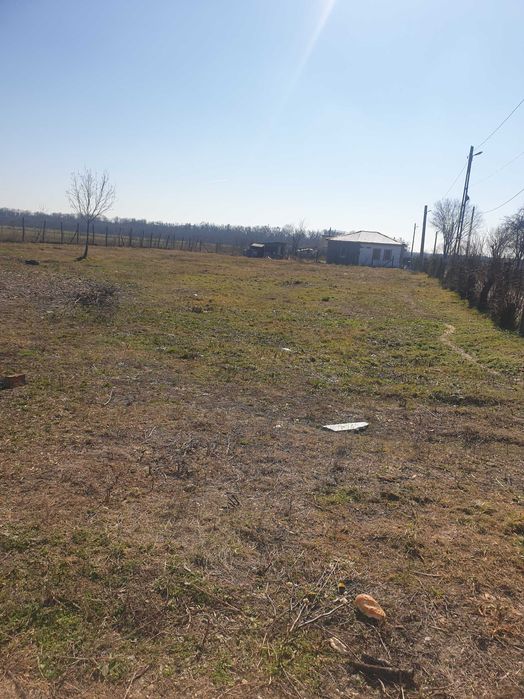 Teren 3 loturi BOLOVANI