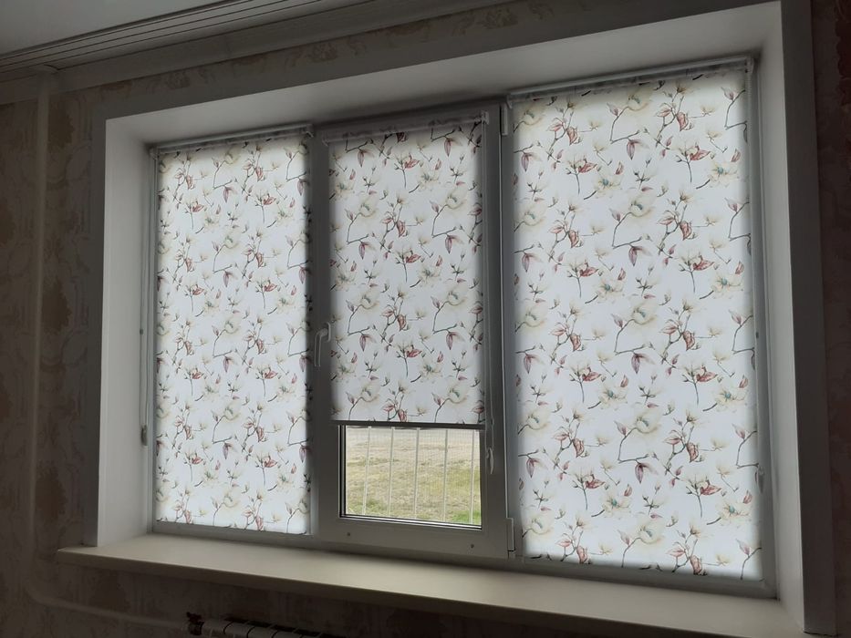 Ролл-шторы в Аксу