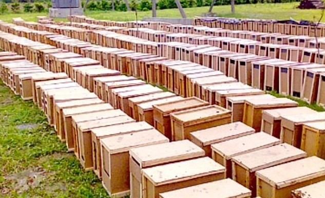 Asalari paketlari пчелопакеты