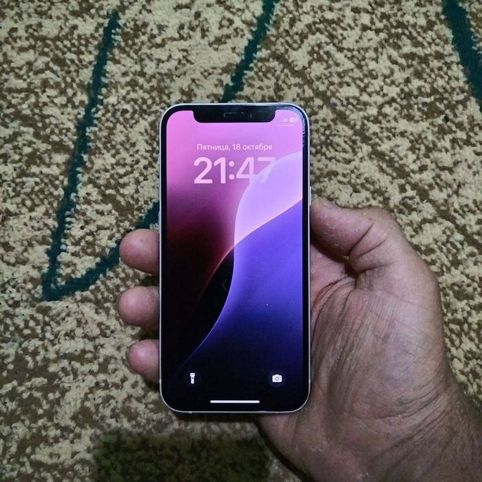 iphone 12 mini ideal