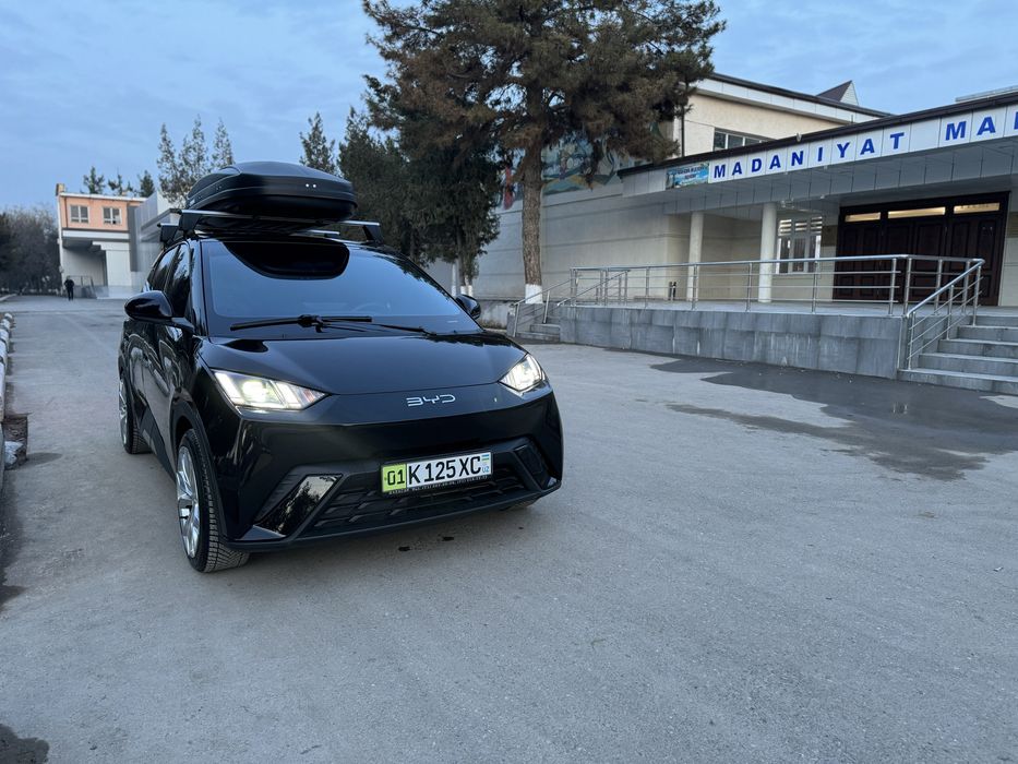 BYd seugell 2024 года