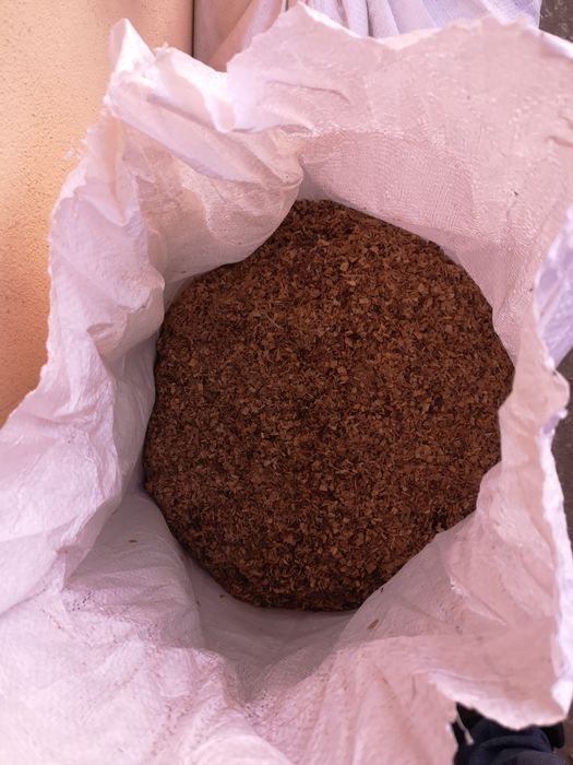 Rumeguș lemn esență tare FAG