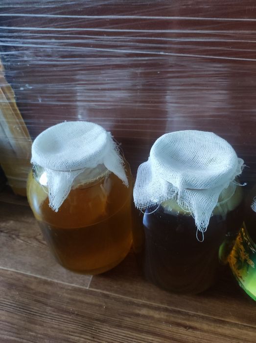 Продам домашний лимонад чайный гриб
