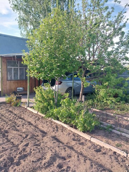 Продам дачу шахтинск