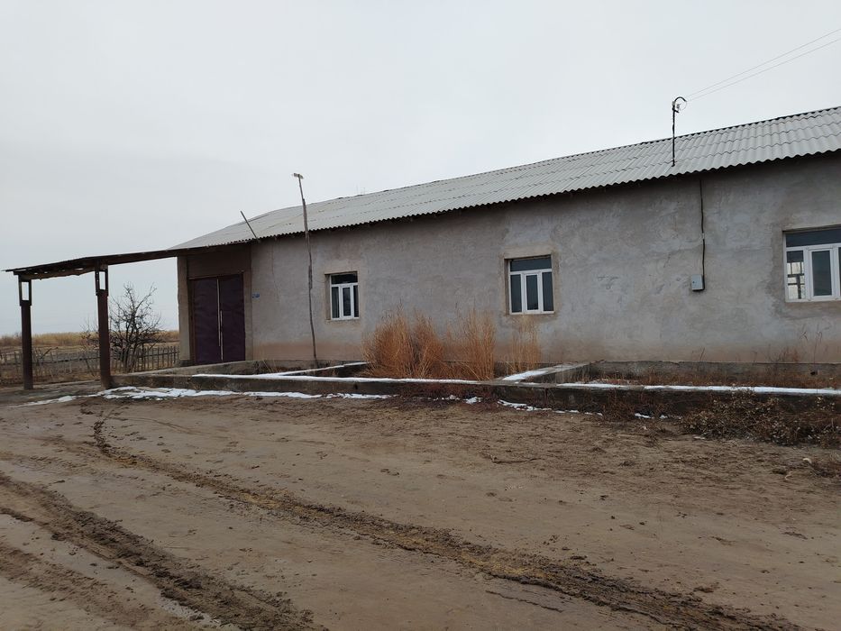 Хожели райони дослик калхозда жай сатылады 300 млн келисимли