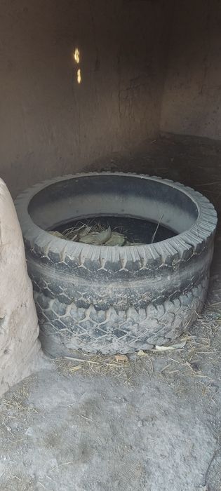 Mollar uchun novo sotiladi