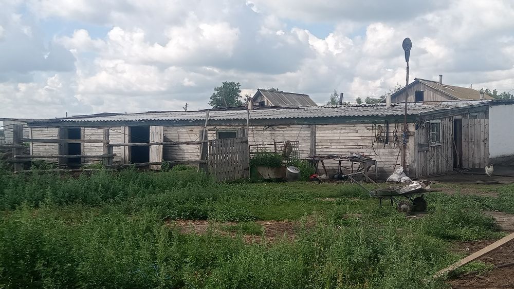 Продам или обменяю на КРС