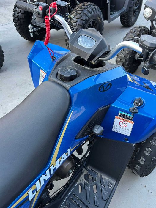 atv linhaI 110 Copii