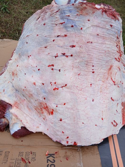 Соғым сатам сойып жеткізіп берем