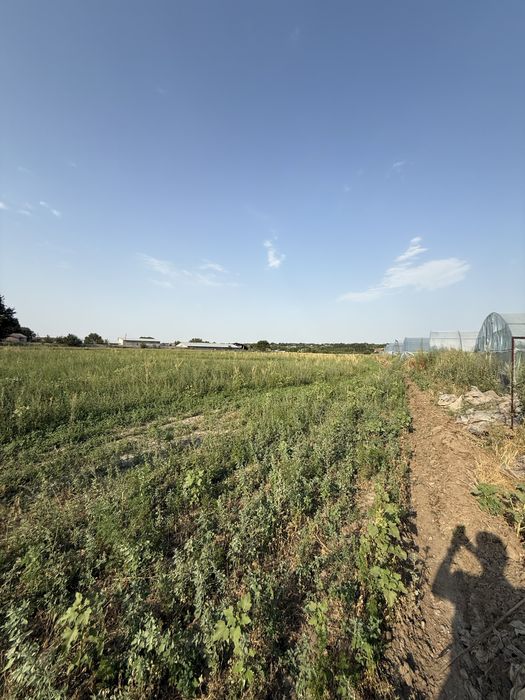 земельный участок